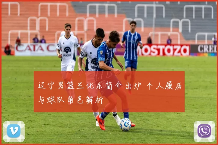 辽宁男篮王化东简介出炉 个人履历与球队角色解析