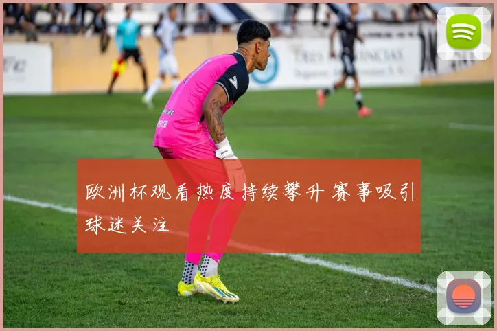 欧洲杯观看热度持续攀升 赛事吸引球迷关注